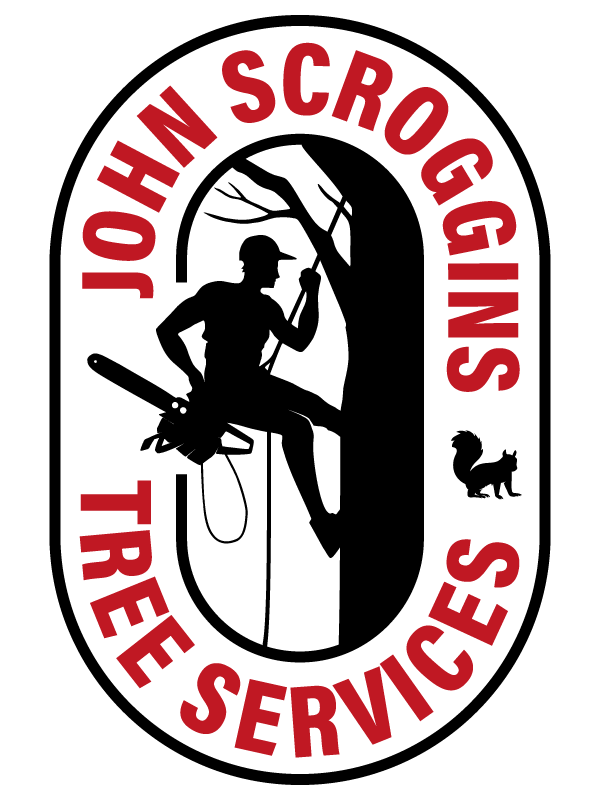 John Scroggins Tree Services